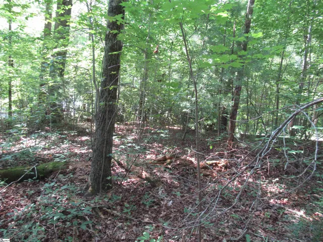 $25,000 | 0 Gauley Falls Road, Unit LOT 15 GAULEY FALLS, Pickens, SC 29671