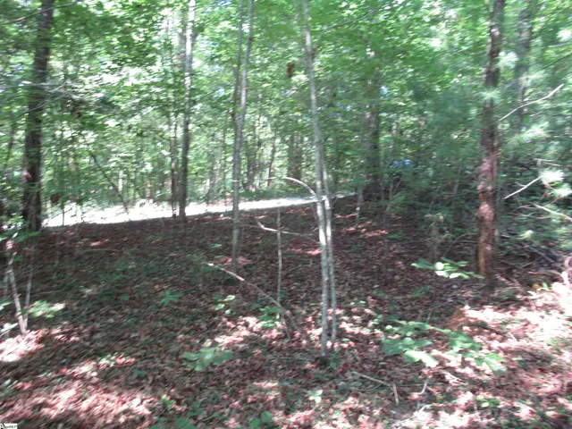 $25,000 | 0 Gauley Falls Road, Unit LOT 15 GAULEY FALLS, Pickens, SC 29671
