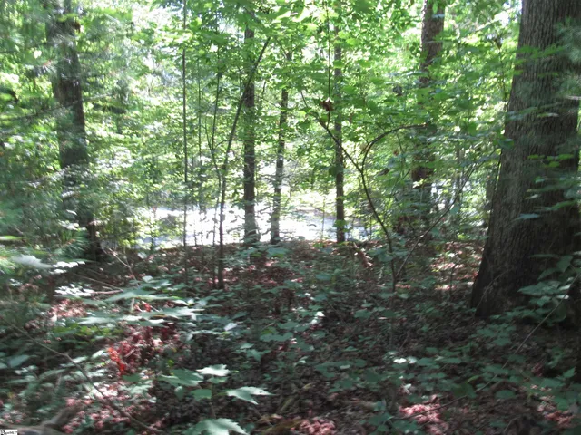 $25,000 | 0 Gauley Falls Road, Unit LOT 15 GAULEY FALLS, Pickens, SC 29671