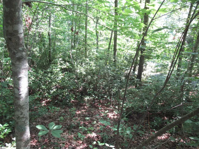 $25,000 | 0 Gauley Falls Road, Unit LOT 15 GAULEY FALLS, Pickens, SC 29671