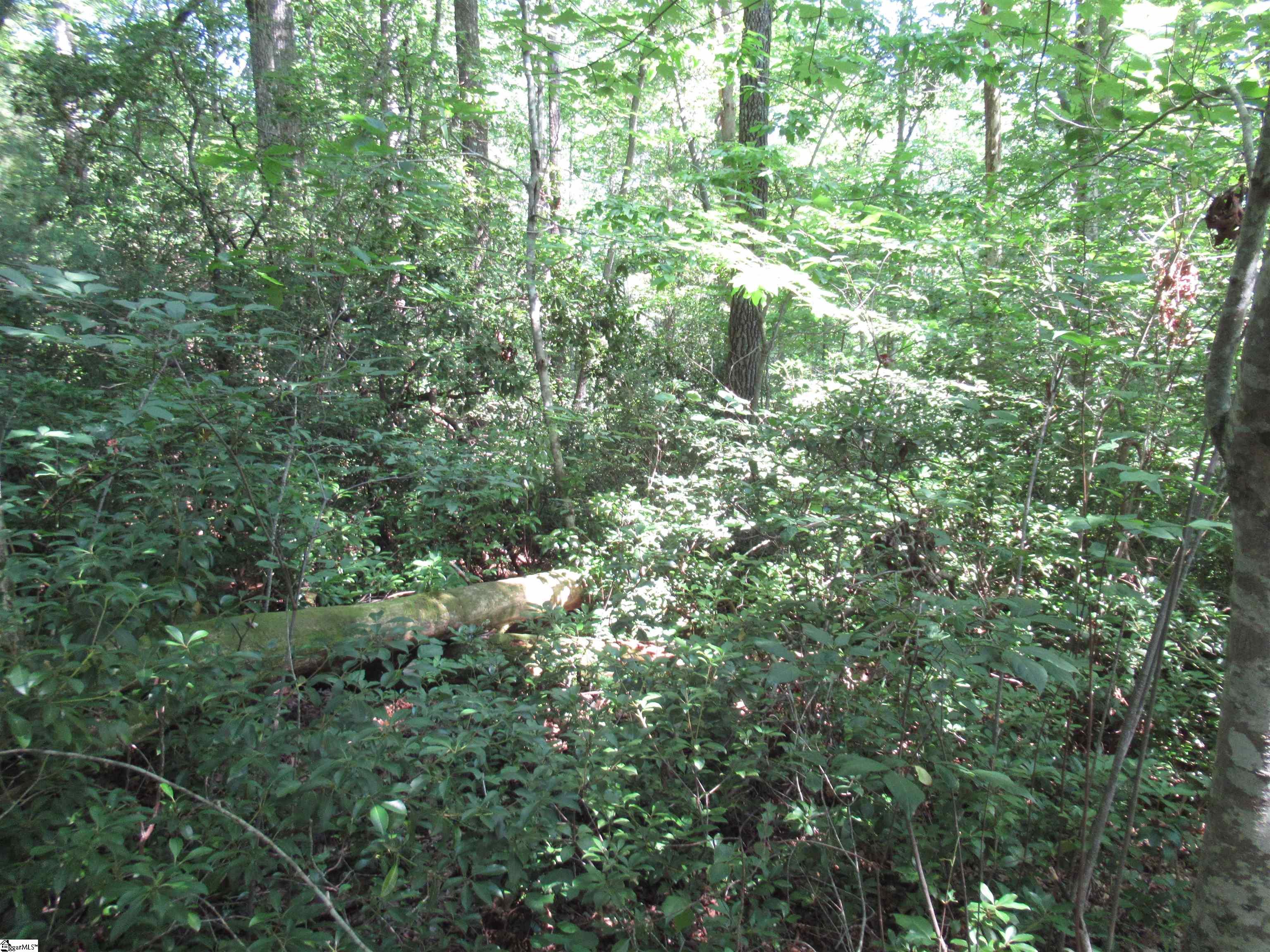 0 Gauley Falls Road, Unit LOT 15 GAULEY FALLS Pickens, SC 29671 - Photo 7 of 36