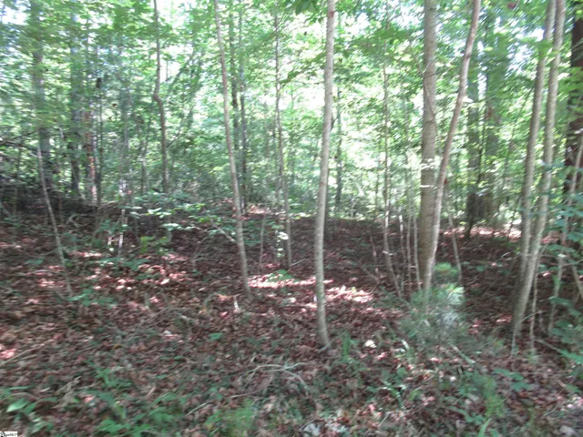 $25,000 | 0 Gauley Falls Road, Unit LOT 15 GAULEY FALLS, Pickens, SC 29671