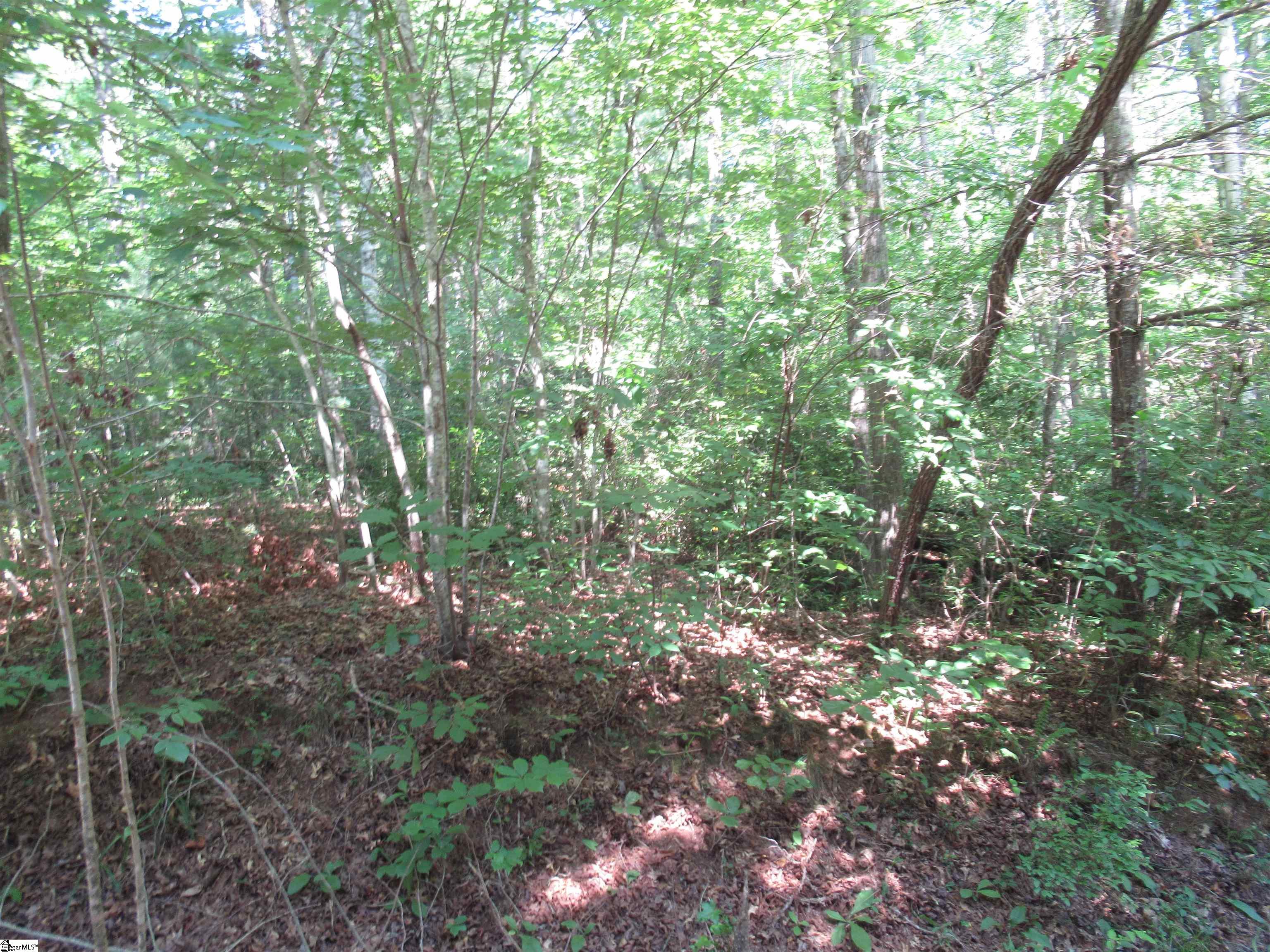 0 Gauley Falls Road, Unit LOT 15 GAULEY FALLS Pickens, SC 29671 - Photo 9 of 36