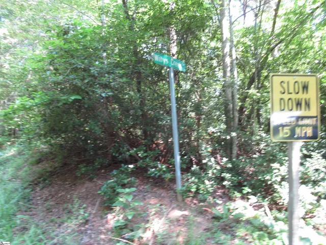 $25,000 | 0 Gauley Falls Road, Unit LOT 15 GAULEY FALLS, Pickens, SC 29671