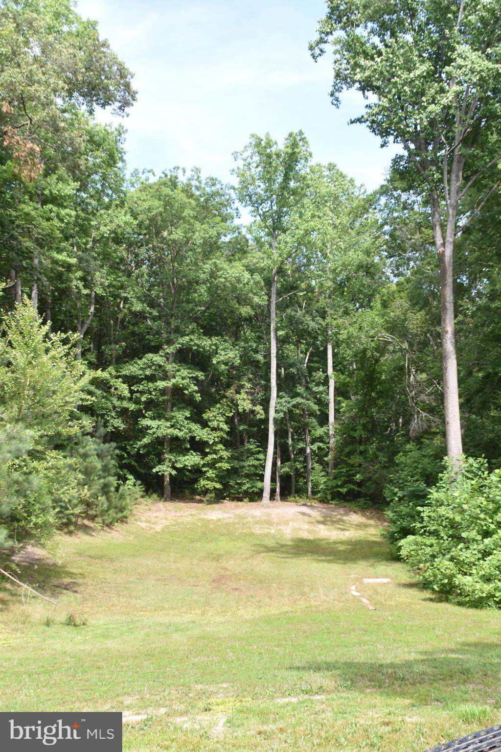 8159 Indiantown Road King George, VA 22485 - Photo 3 of 19 Backyard