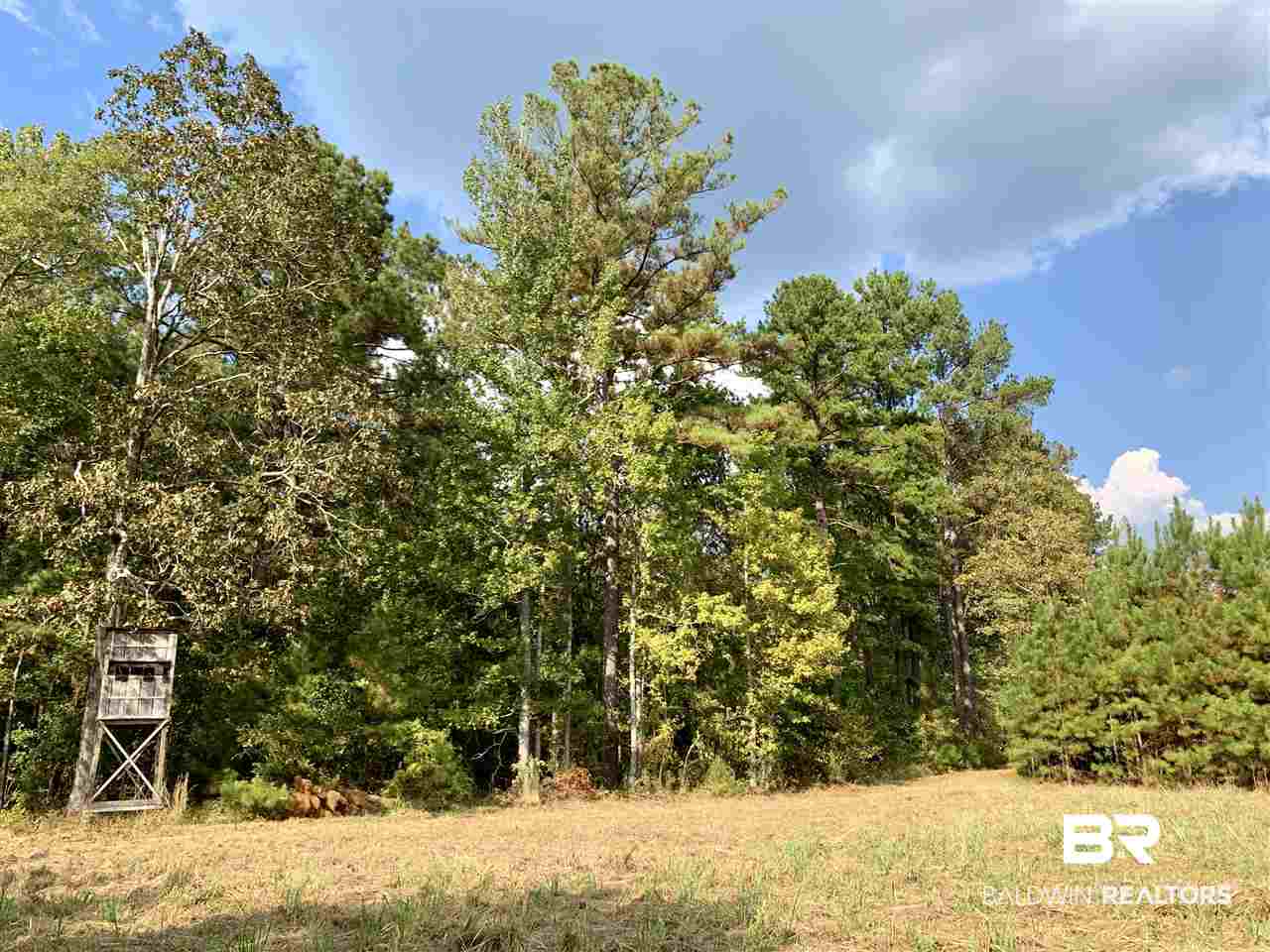 0 Holly Creek Road Stockton, AL 36579 - Photo 32 of 50