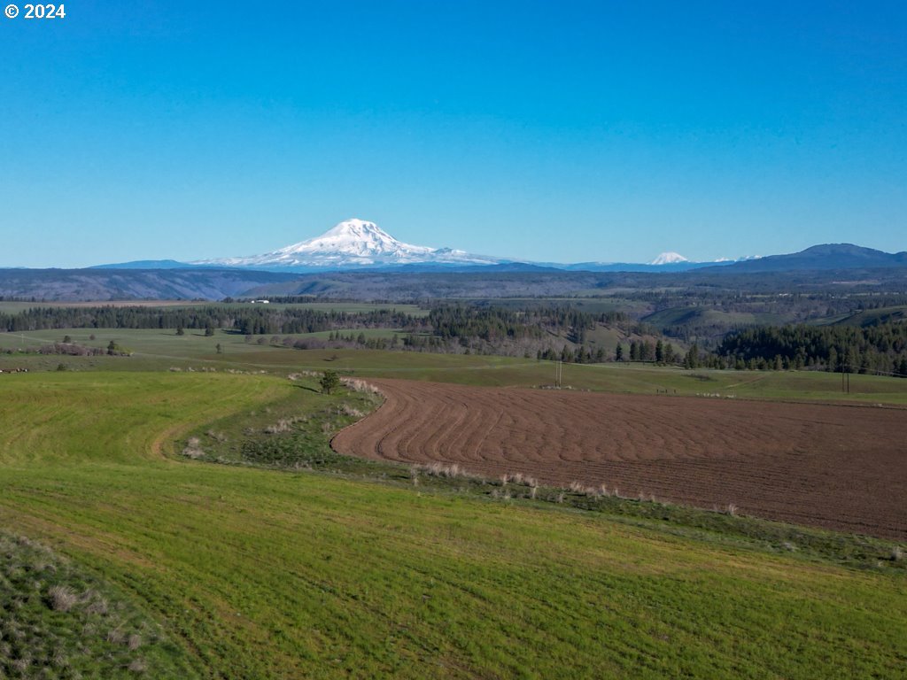 Horseshoe Bend Road Centerville, WA 98613 - Photo 1 of 12 Gallery Image 1