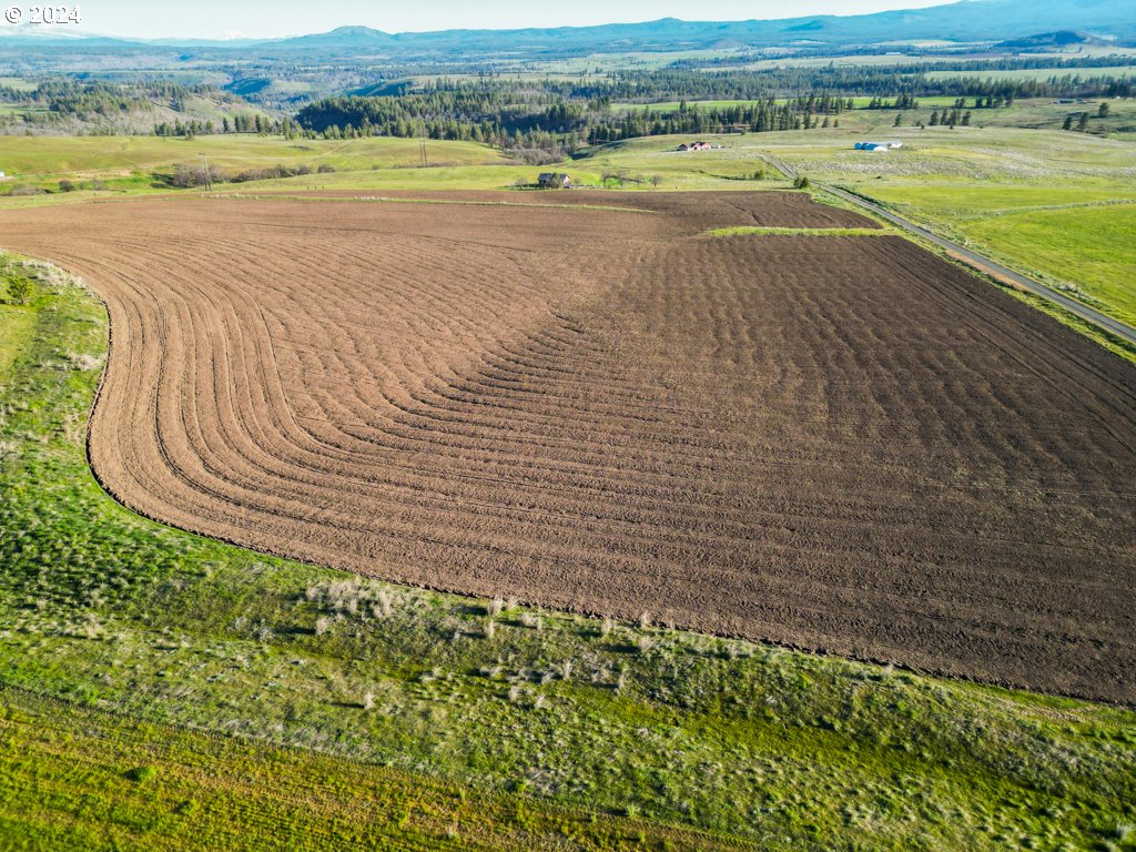 Horseshoe Bend Road Centerville, WA 98613 - Photo 11 of 12 Gallery Image 11