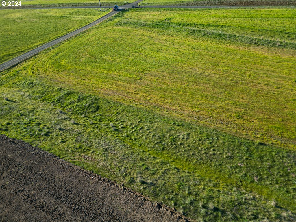 Horseshoe Bend Road Centerville, WA 98613 - Photo 3 of 12 Gallery Image 3