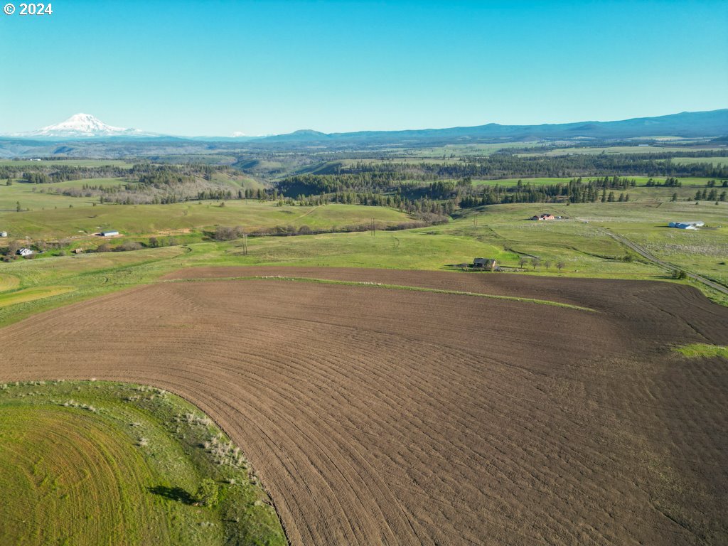 Horseshoe Bend Road Centerville, WA 98613 - Photo 5 of 12 Gallery Image 5