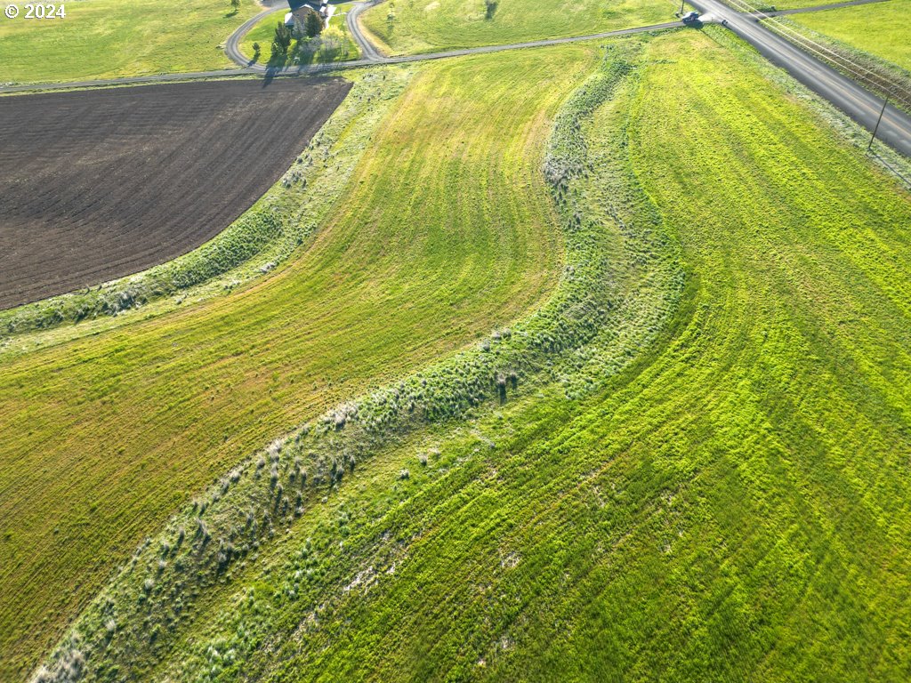Horseshoe Bend Road Centerville, WA 98613 - Photo 6 of 12 Gallery Image 6