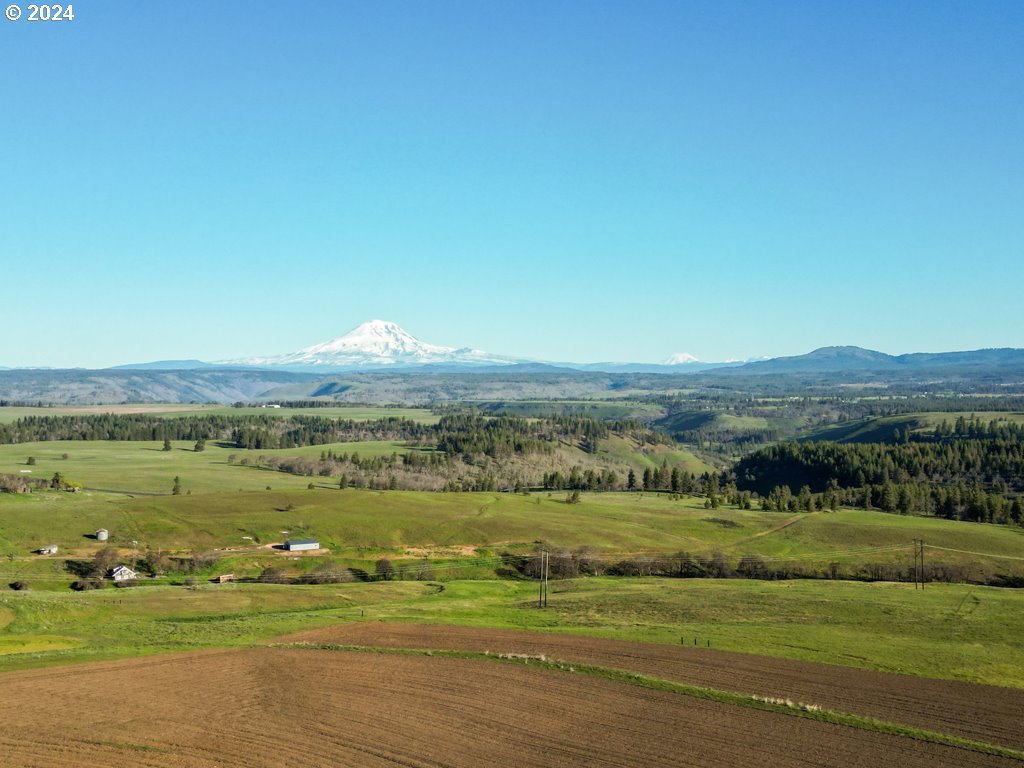 Horseshoe Bend Road Centerville, WA 98613 - Photo 8 of 12 Gallery Image 8