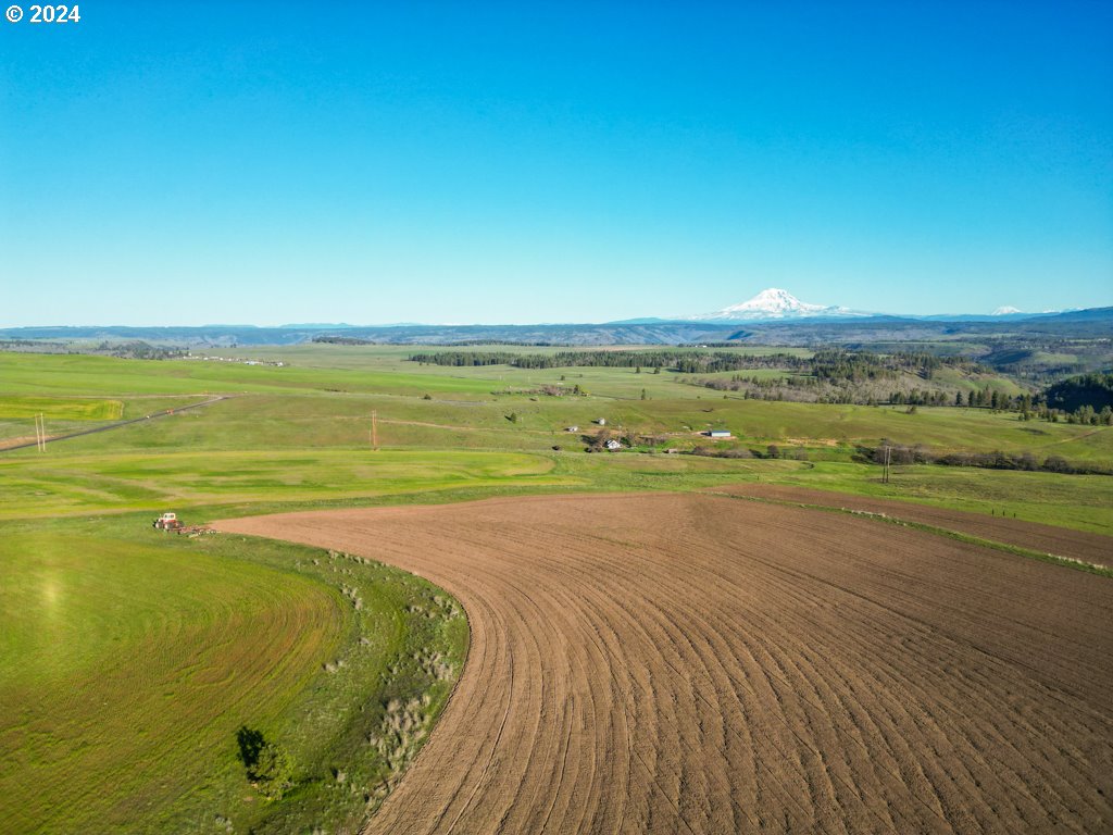 Horseshoe Bend Road Centerville, WA 98613 - Photo 9 of 12 Gallery Image 9