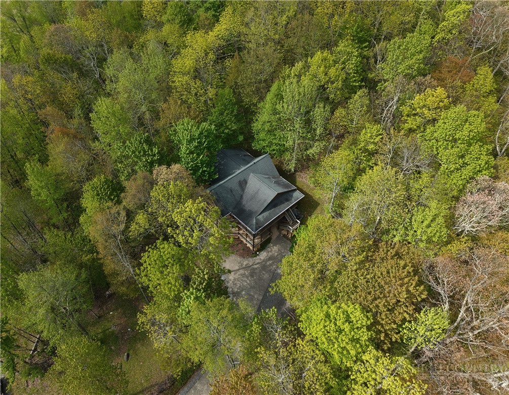 3043 Junaluska Road Boone, NC 28607 - Photo 47 of 49