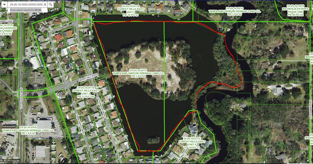 0 Berry Hill Road Holiday, FL 34690 - Photo 3 of 43