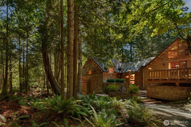 a view of a backyard