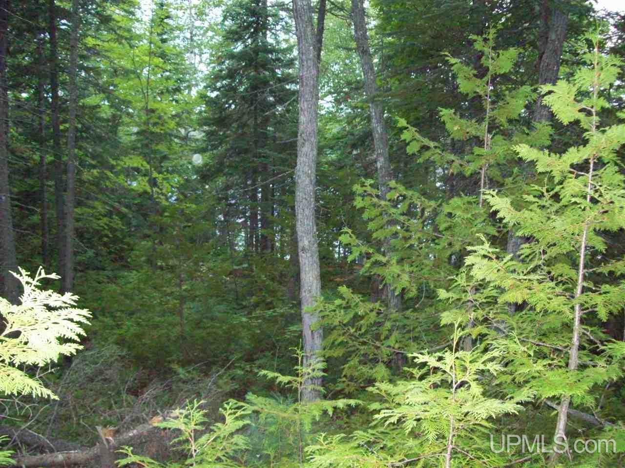 Tbd Tbd Washington Mine Road, Unit LOT 18 Mohawk, MI 49950 - Photo 5 of 9