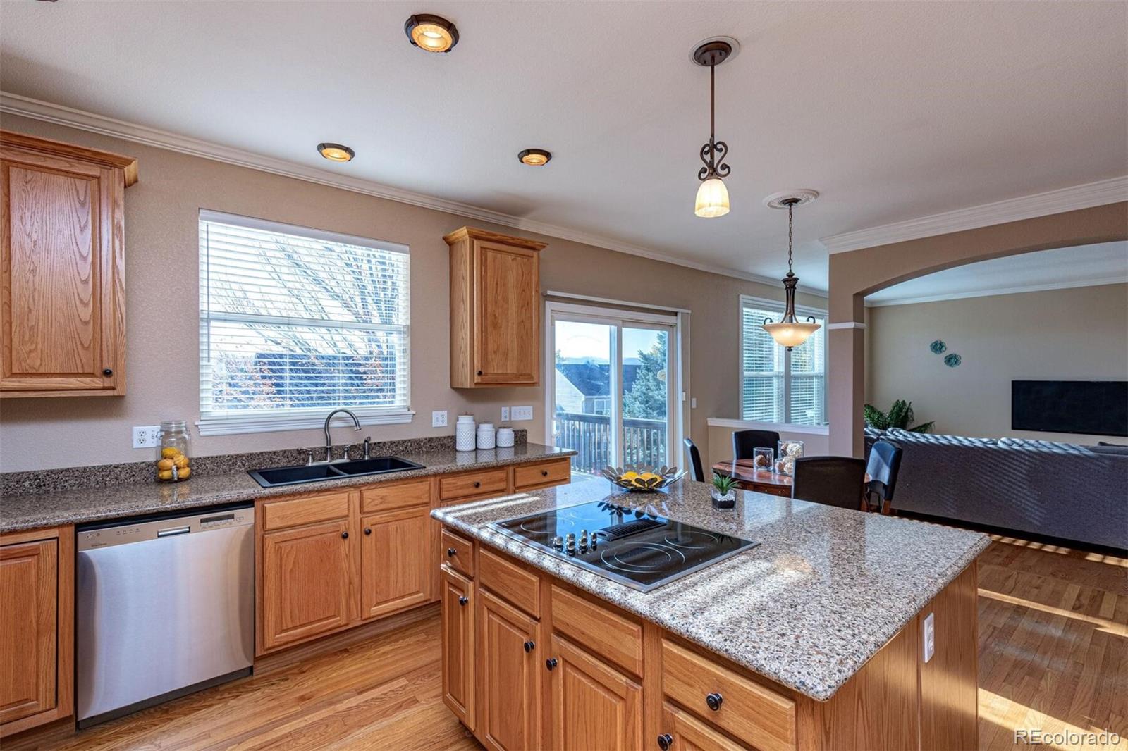 9935 Clyde Circle Highlands Ranch, CO 80129 - Photo 16 of 40