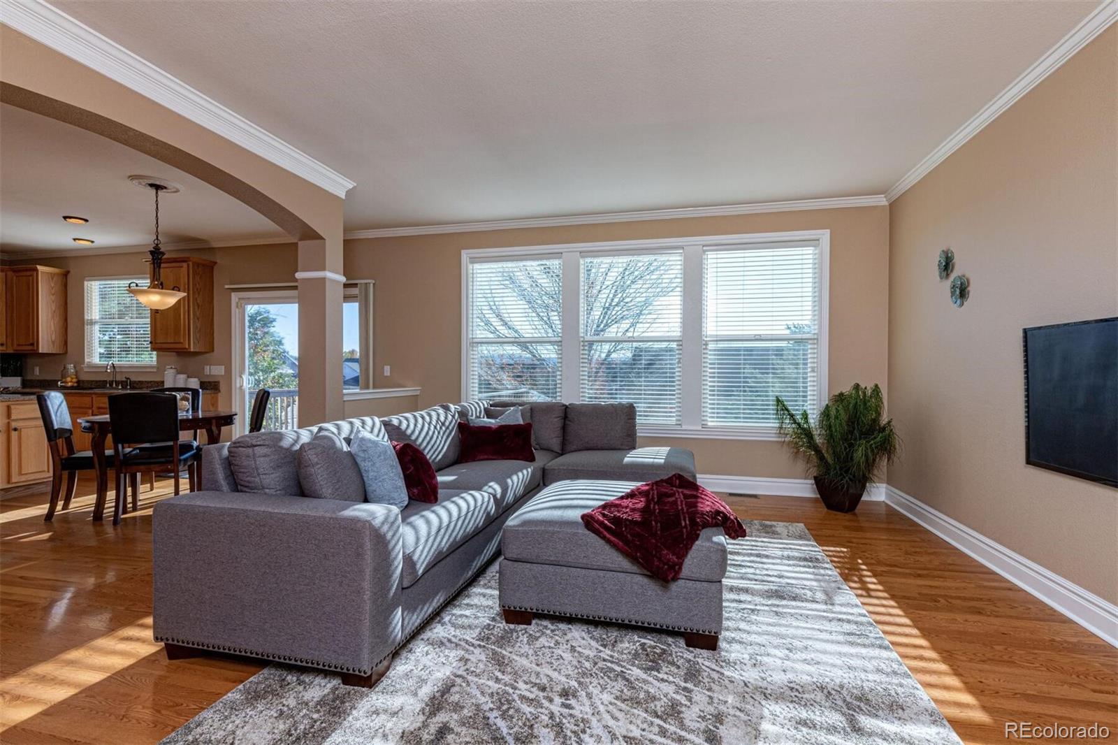 9935 Clyde Circle Highlands Ranch, CO 80129 - Photo 18 of 40