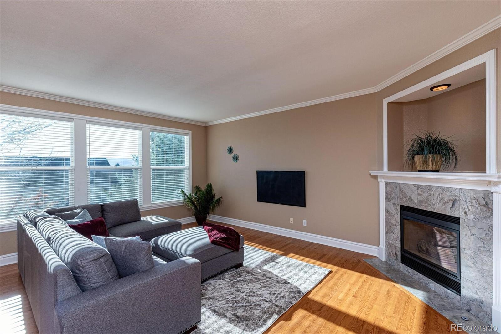 9935 Clyde Circle Highlands Ranch, CO 80129 - Photo 19 of 40