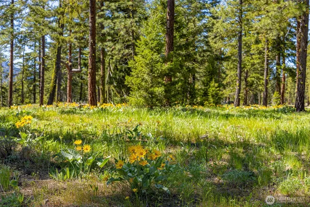 $1,389,900 | 71 Plateau Loop, Cle Elum, WA 98922