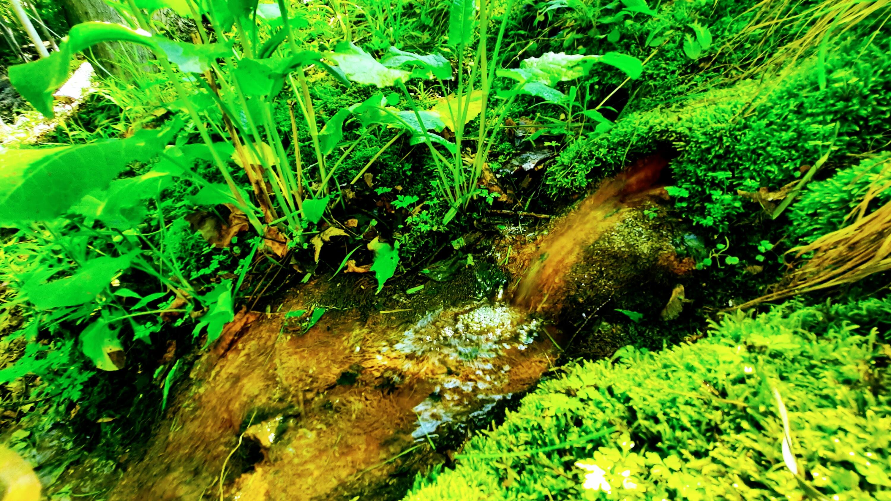 8424 3rd Street Onekama, MI 49675 - Photo 69 of 99 Water Feature