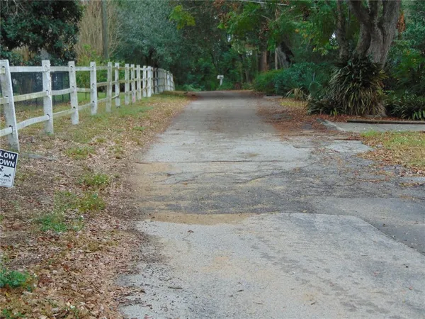 a view of a yard with large trees