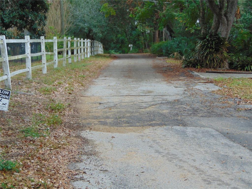 Fairway Avenue Eustis, FL 32726 - Photo 3 of 10 a view of a yard with large trees