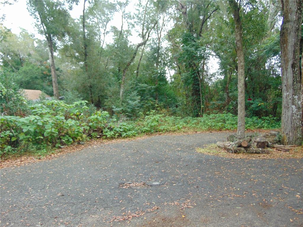 Fairway Avenue Eustis, FL 32726 - Photo 4 of 10 a view of a dirt road with trees in the background