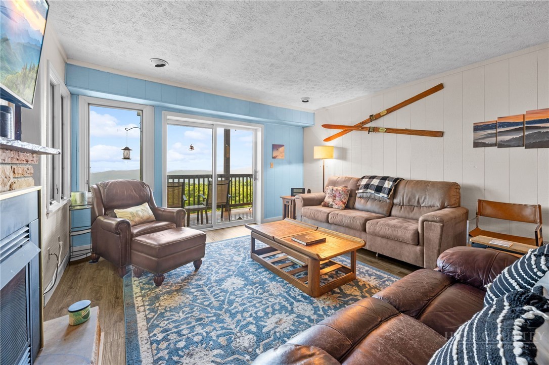 220 Northridge Road, Unit 16 Beech Mountain, NC 28604 - Photo 4 of 29