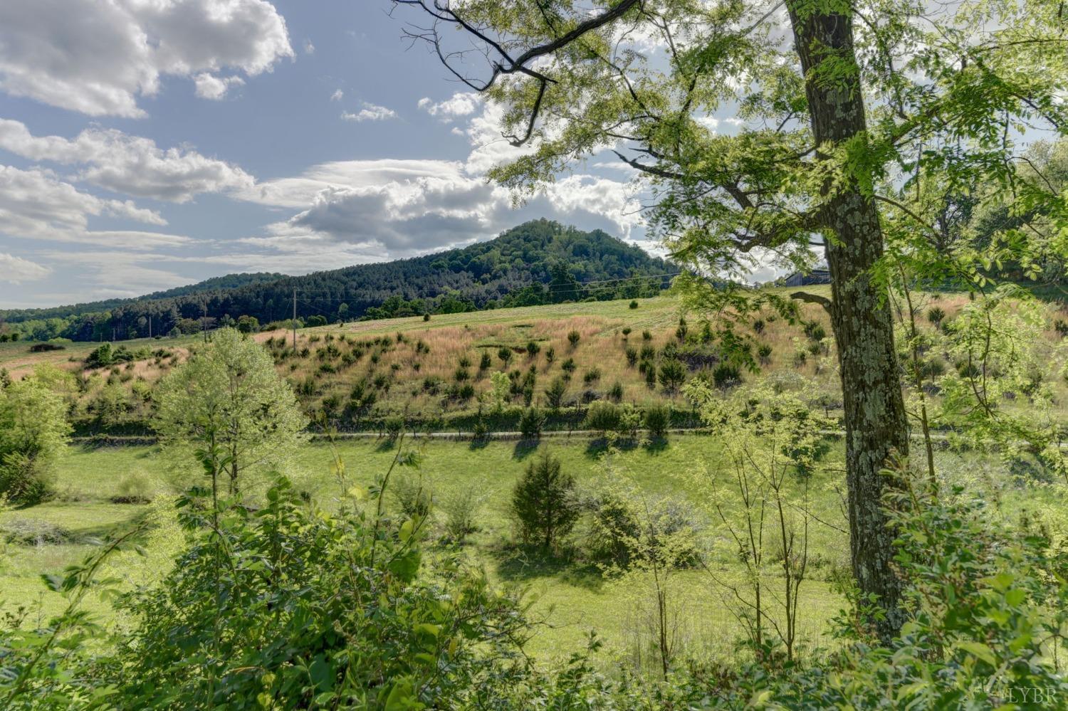 1112 Twinleaf Road Goode, VA 24556 - Photo 23 of 36 a view of lake