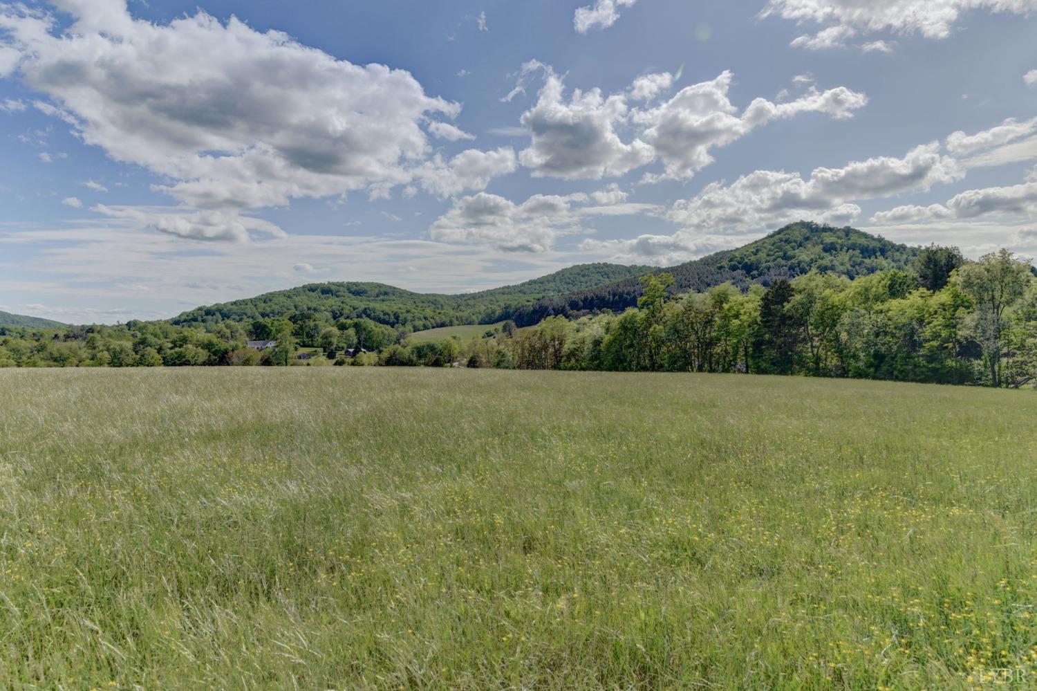 1112 Twinleaf Road Goode, VA 24556 - Photo 32 of 36 a view of a lake with a big yard