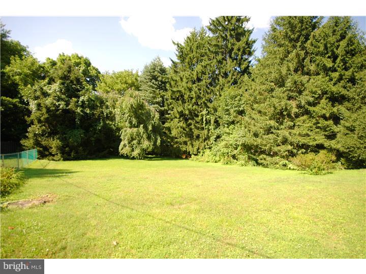 121 Broadview Road Springfield, PA 19064 - Photo 12 of 13 Back Yard