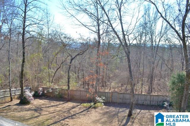 4561 South Shades Crest Road Helena, AL 35022 - Photo 3 of 14