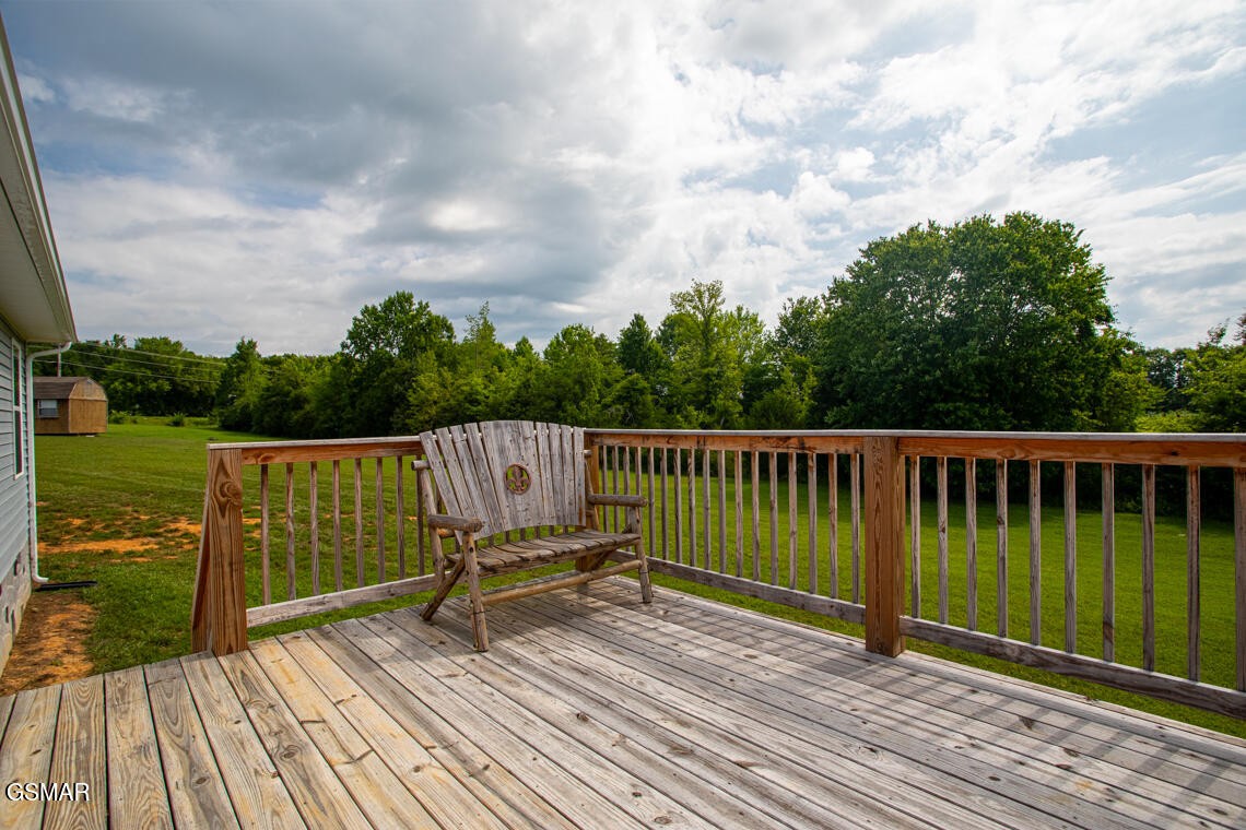 318 Harrison Ferry Road White Pine, TN 37890 - Photo 32 of 36