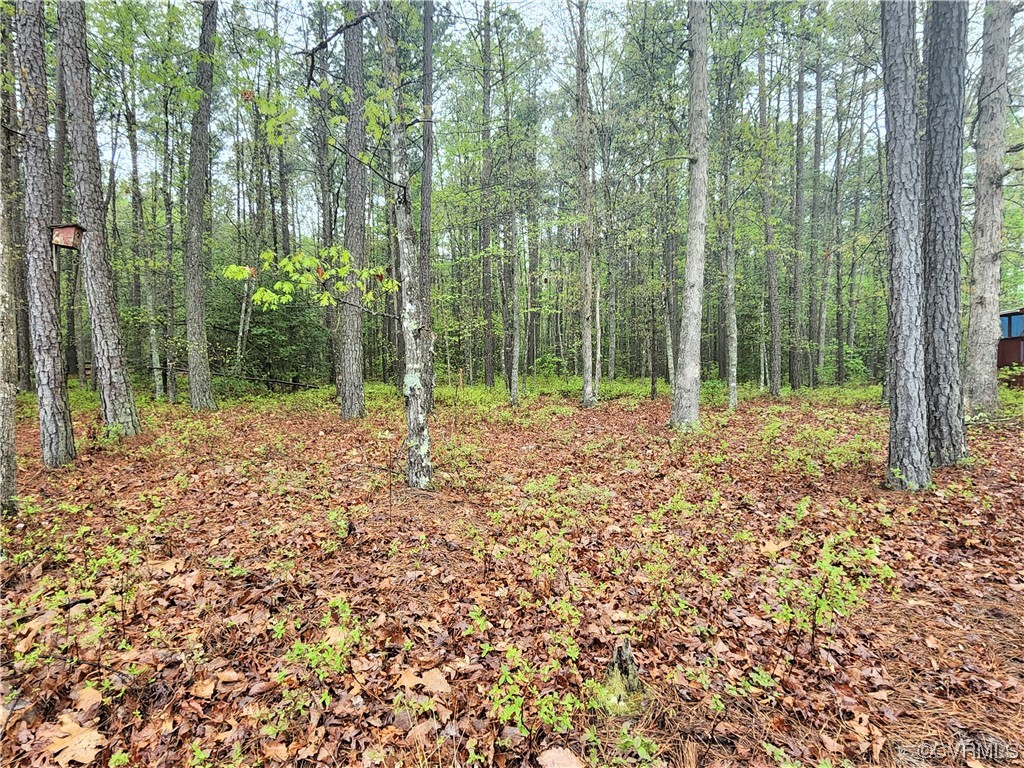 2281 Wills Road Blackstone, VA 23824 - Photo 1 of 25 Gallery Image 1