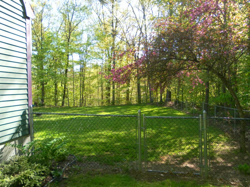 59 Drake Hill Road Strafford, NH 03884 - Photo 3 of 14