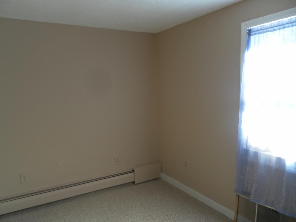 59 Drake Hill Road Strafford, NH 03884 - Photo 5 of 14