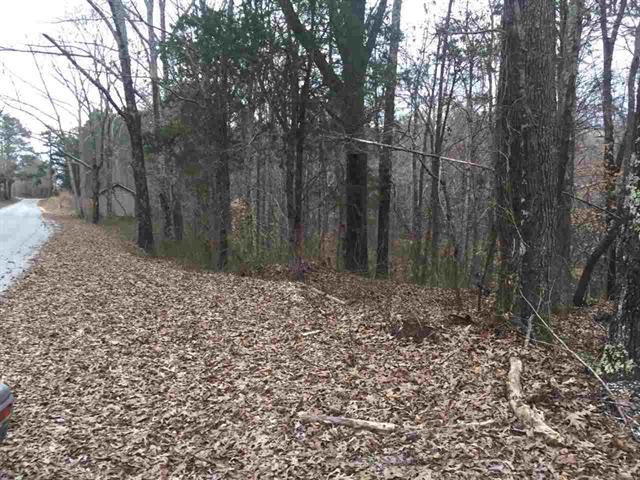 0 Duck Farm Road Sugar Tree, TN 38380 - Photo 3 of 4 Gallery Image 3