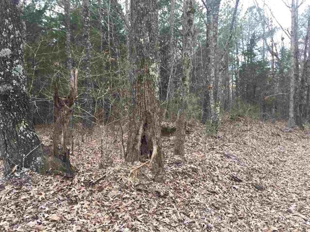 0 Duck Farm Road Sugar Tree, TN 38380 - Photo 4 of 4 Gallery Image 4