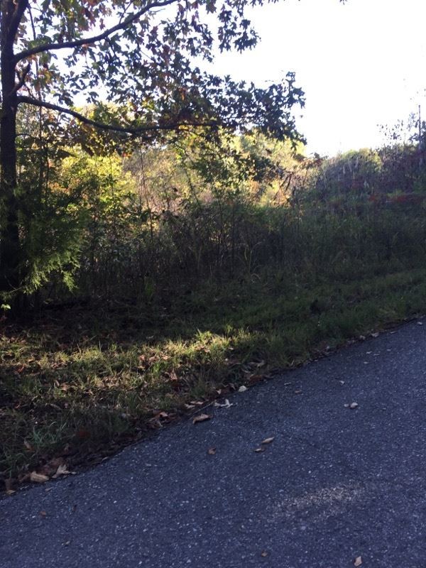 0 Prigmore Ridge Road Decatur, TN 37322 - Photo 2 of 4 Gallery Image 2