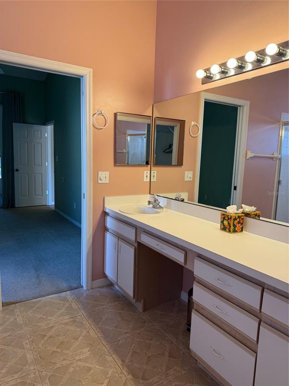4501 River Ridge Drive Leesburg, FL 34748 - Photo 14 of 16 a bathroom with a sink and a mirror