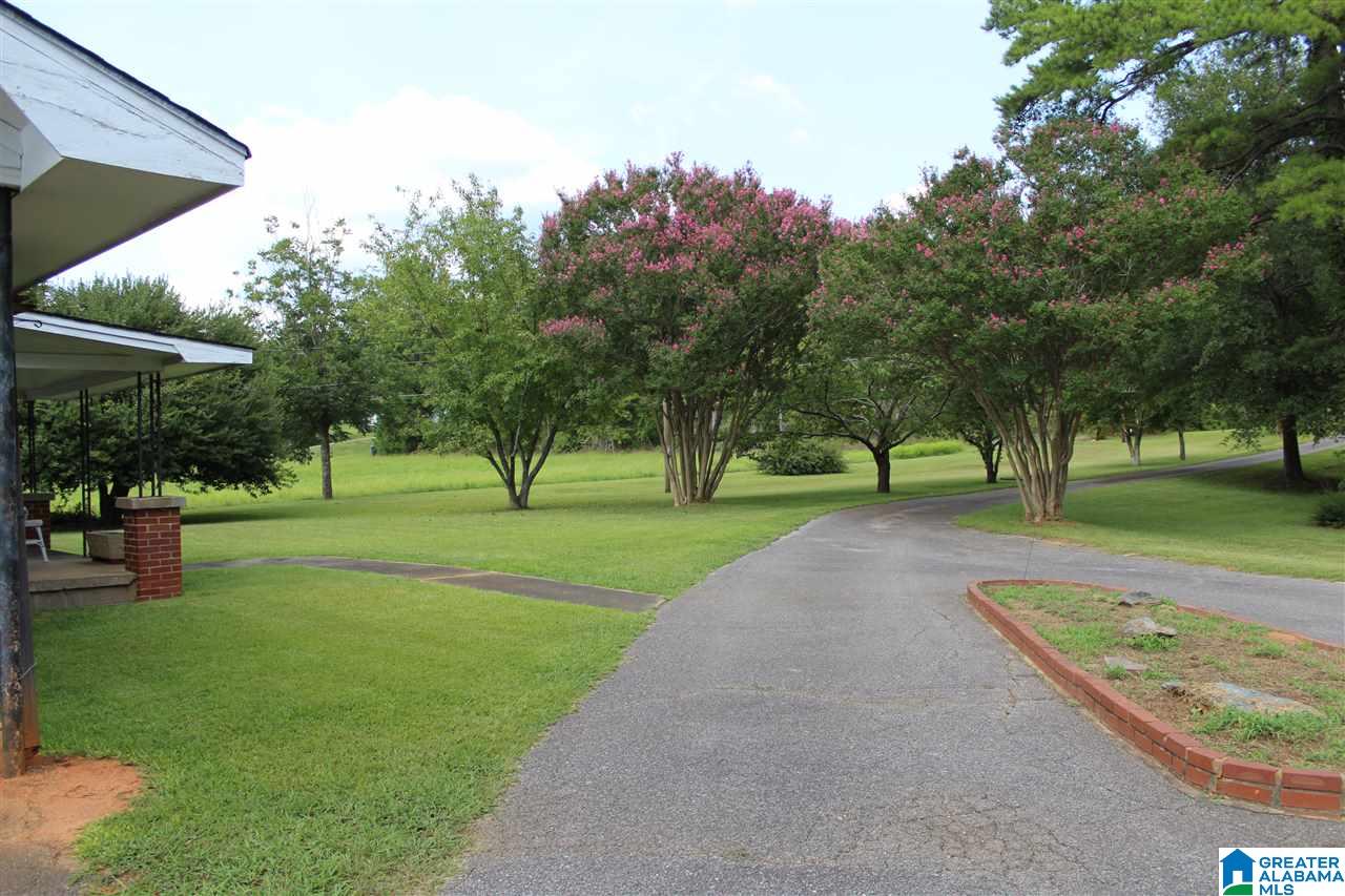 1835 Southeast White Gap Road Jacksonville, AL 36265 - Photo 9 of 20