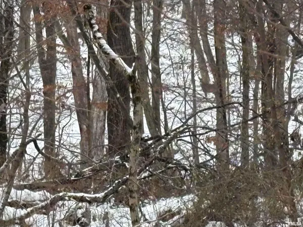 $411,000 | 9445 McNabb Blacktop Road, Hennepin, IL 61327