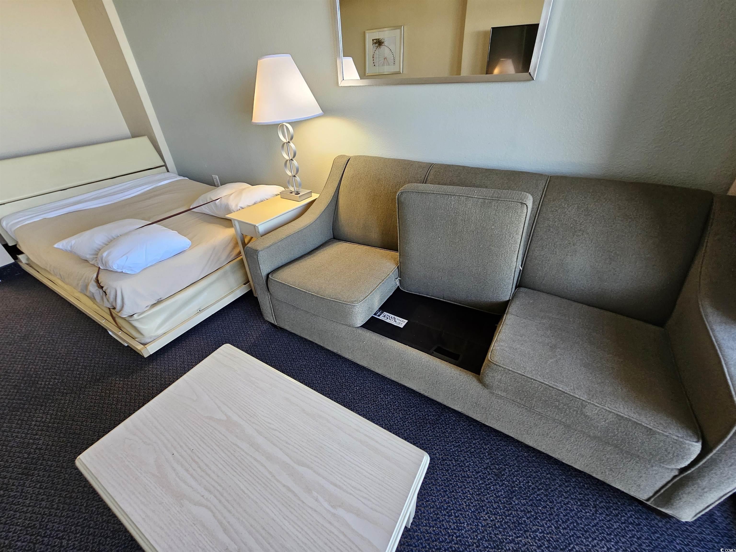 201 77th Avenue North, Unit 1025 Myrtle Beach, SC 29572 - Photo 11 of 36 Sitting room with carpet floors