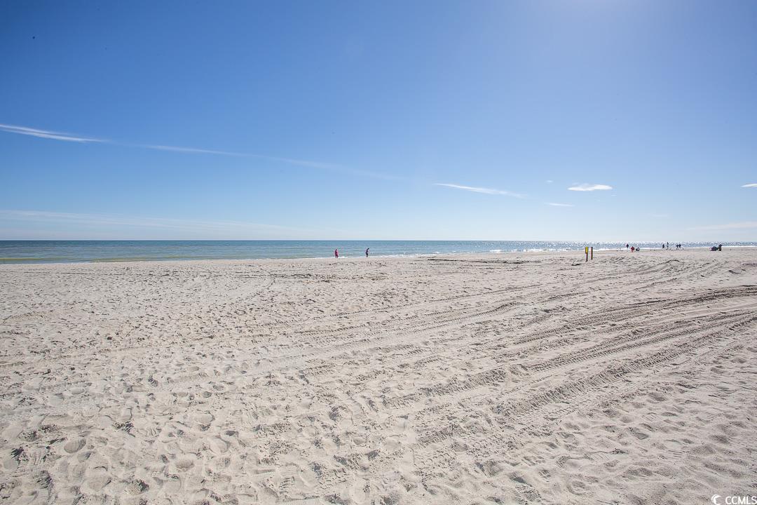 201 77th Avenue North, Unit 1025 Myrtle Beach, SC 29572 - Photo 33 of 36