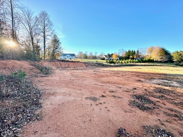 184 Spivey Creek Road Landrum, SC 29356 - Photo 2 of 5