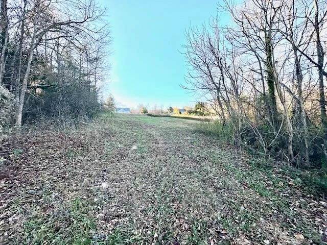 $125,000 | 184 Spivey Creek Road, Landrum, SC 29356