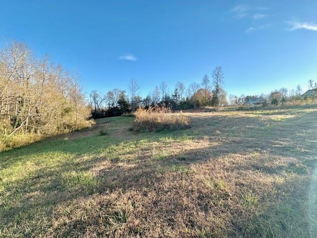 184 Spivey Creek Road Landrum, SC 29356 - Photo 5 of 5