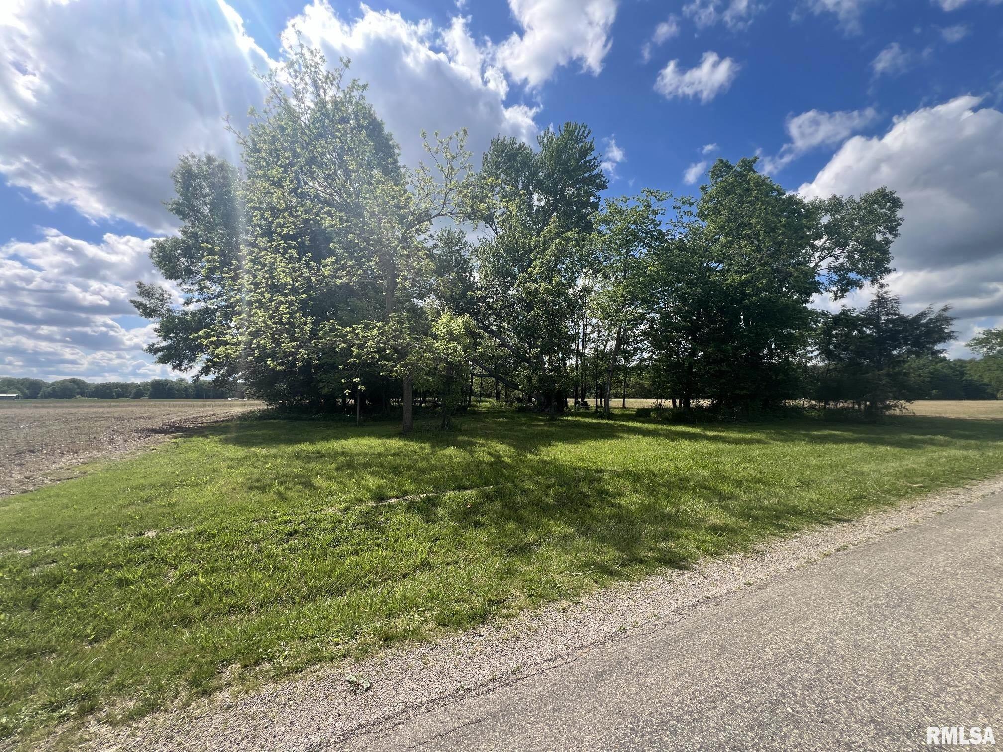 0 Raven Road Farina, IL 62838 - Photo 9 of 10 Gallery Image 9
